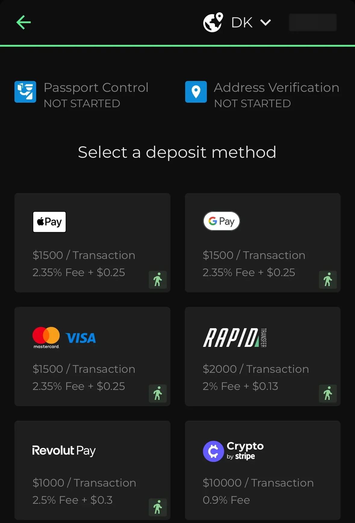 The DMarket deposit screen, set to Denmark, with Passport Control and Address Verification not started, and Apple Pay, Google Pay, Visa and Mastercard, Rapid Transfer, Revolut Pay and Crypto by Stripe, each with its limit and fee